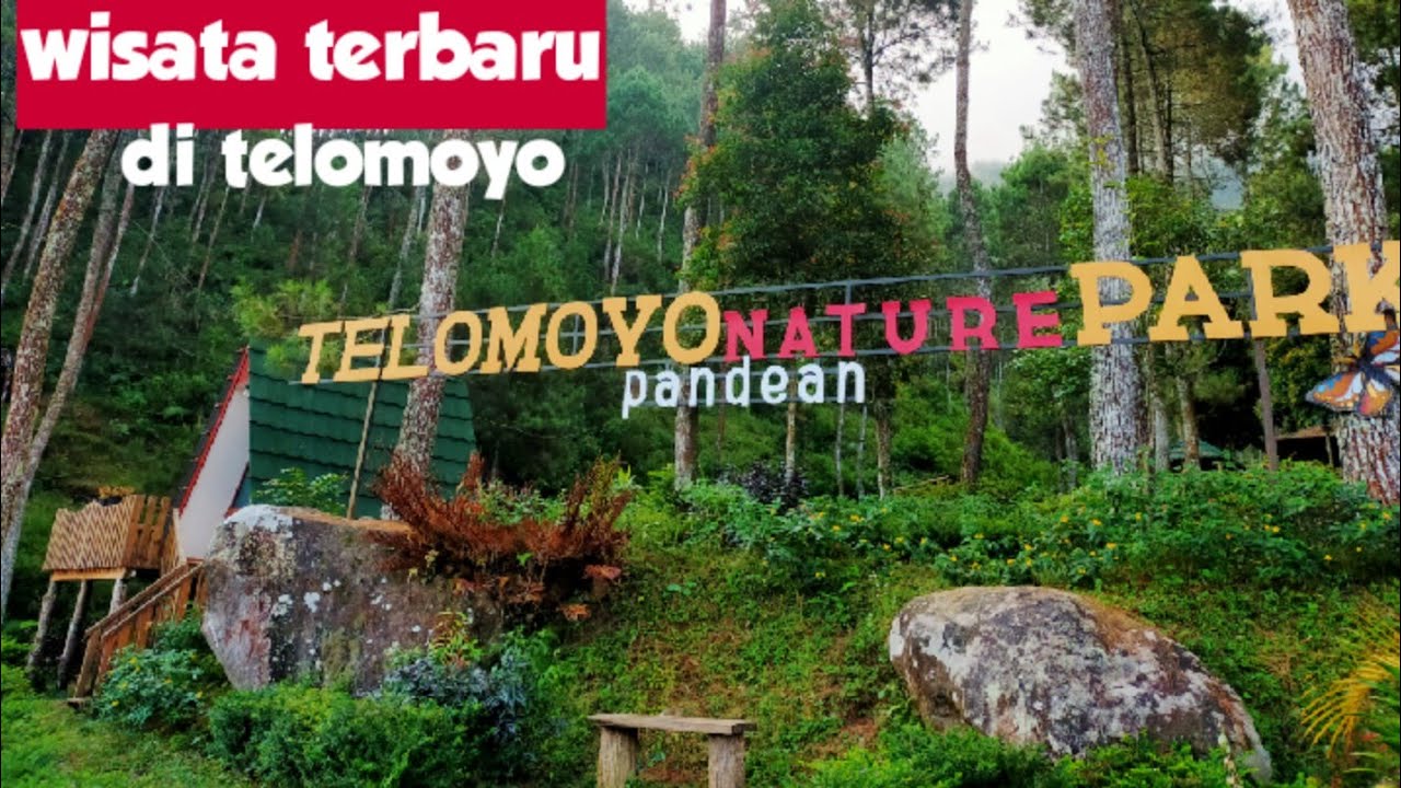 Telomoyo Nature Park: Surga Alam yang Menakjubkan